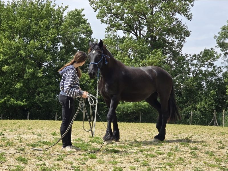 Camille et Ebene