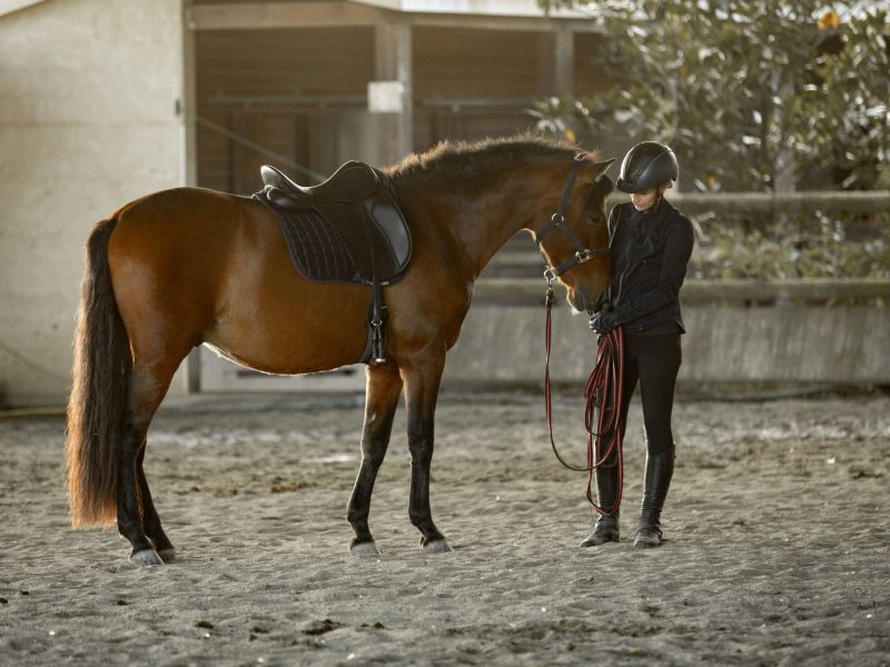 Caro et Zeus