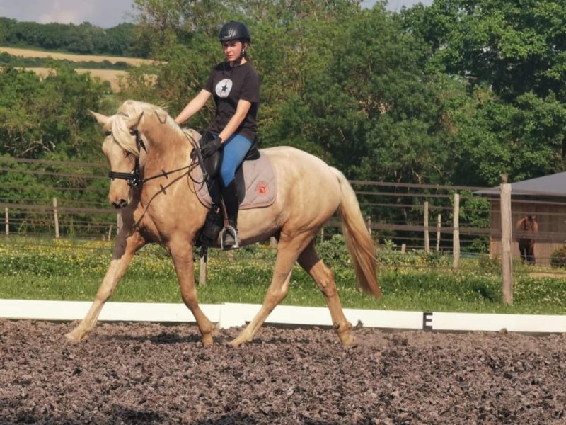 Hielo et Mélodie