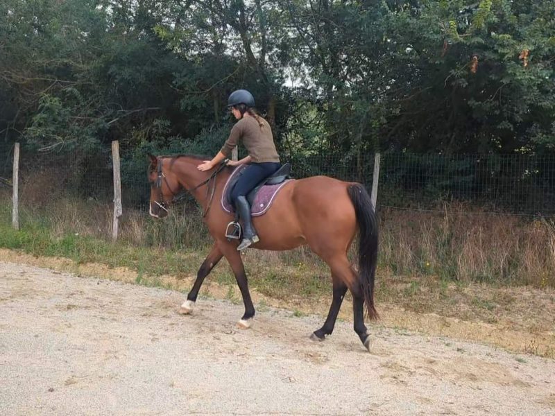 Vicking et Camille